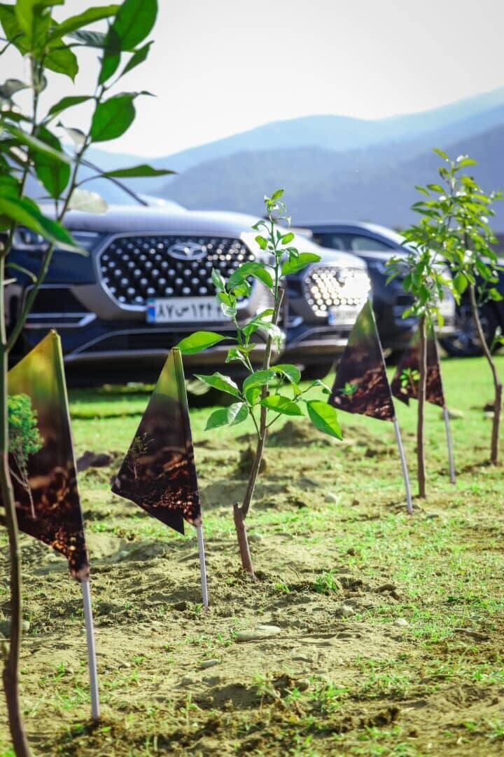 به نام مردم به کام زمین؛ پویش درختکاری فونیکس و فونیکس NEV