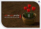 280854 452,خدمت‌رسانی بانک صادرات ایران به مردم دو اسطوره مقاومت در خوزستان,اتوکالا Autokala