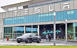 % افت فروش تسلا ادامه دارد