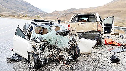 آپشن‌بازی در واردات خودرو